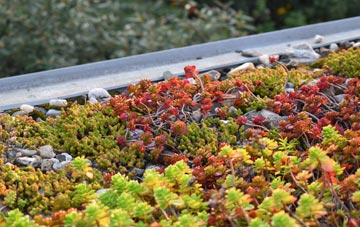the cost of Summerbridge green roof installation