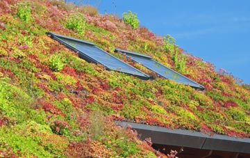 Summerbridge living roof systems